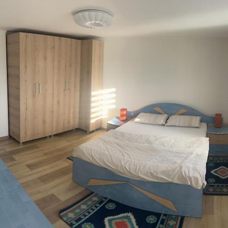 Vila Exclusive Тыргу-Жиу Экстерьер фото