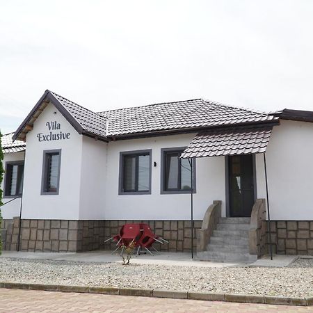 Vila Exclusive Тыргу-Жиу Экстерьер фото